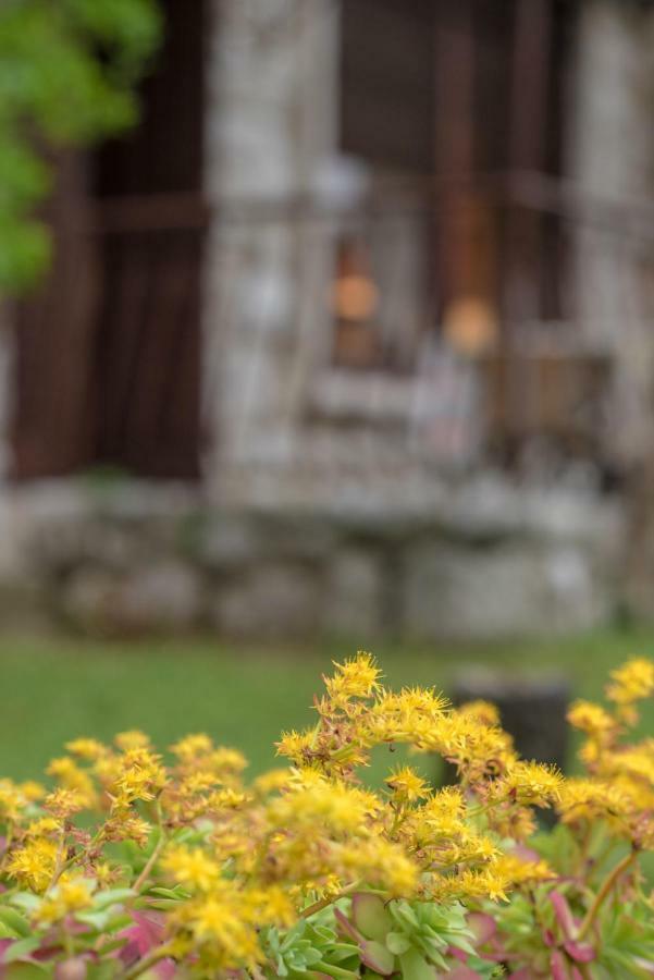 Apartment Urban Garden Rijeka Exterior photo